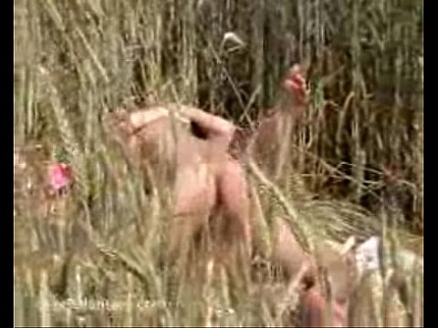 Любительский трах за шпионской камерой 4 мин.