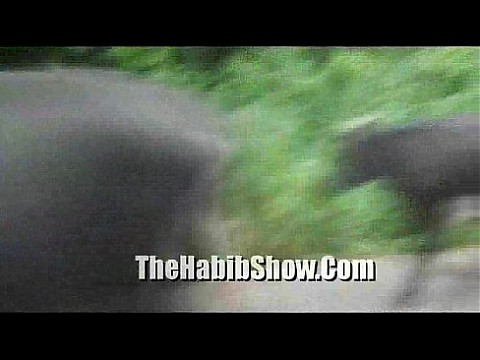 Латина-доминиканский секс-фрик на кухне мамочки 8 мин.