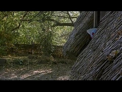 порно фильм [PRIVATEWCAM.COM] 1 ч. 49 мин.