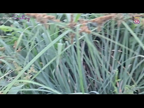 БРУНА САНТИНИ ВЫХОДИТ ЗАМУЖ ЗА РОГОНОСЦА, КОТОРЫЙ ПОЗВОЛЯЕТ ЕЙ УДОВЛЕТВОРЯТЬ ВСЕ ЕЕ ЖЕЛАНИЯ, ОТДАВАЯ ЭТО ВСЕМ ПАРНЯМ 10 мин.