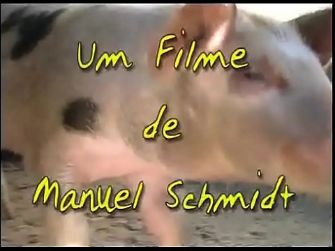 1-й месяц в Quinta da Conde - Лучшие сцены 6 мин.