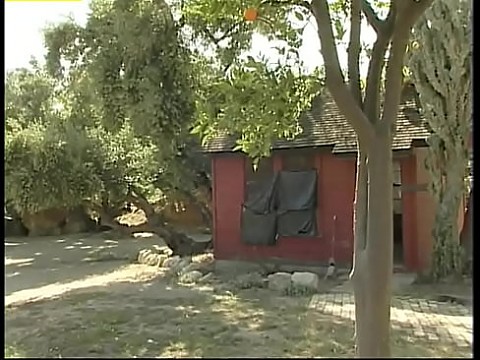 Сексуальная пародия на известный фильм ужасов 1 ч. 53 мин.