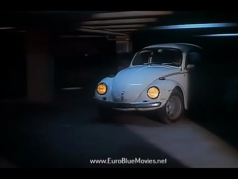 Секреты извращений (1979) - фильм целиком 61 мин.