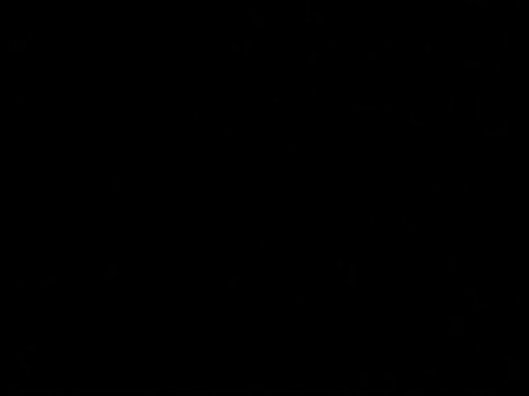 Nasty Black MILF gets fucked