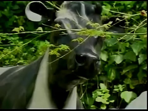 X Cuts - до того, как они стали суперзвездами 02 - фильм целиком 4 ч. 46 мин.