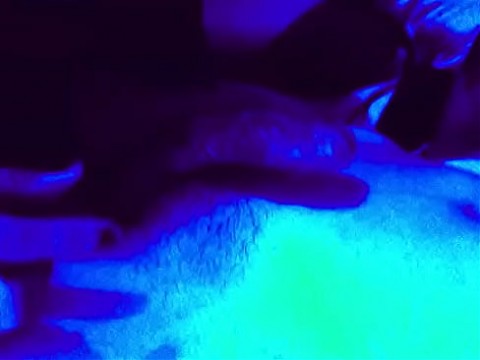 Фильм 13.12.2010 в 22:54 65 сек.