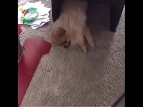 My StepDad Brings Me his Cum — girls4cock.com/siswet19 this is my personal chatroom!!