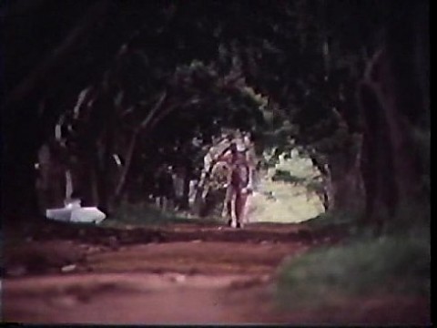 ГЛУБОКАЯ БУНДА - ПОРНОЧАНЧАДА 1984 87 мин.